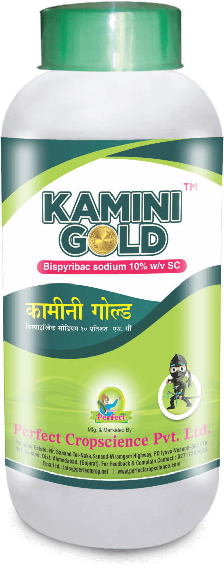 kamini_gold