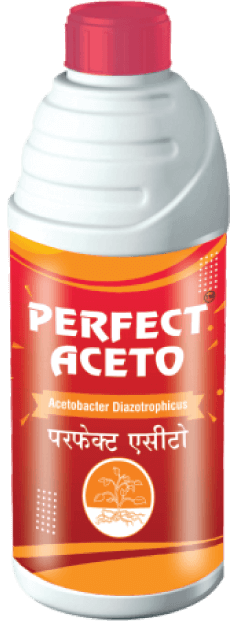 perfect_aceto