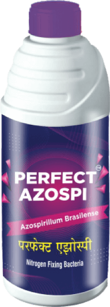 perfect_azospi