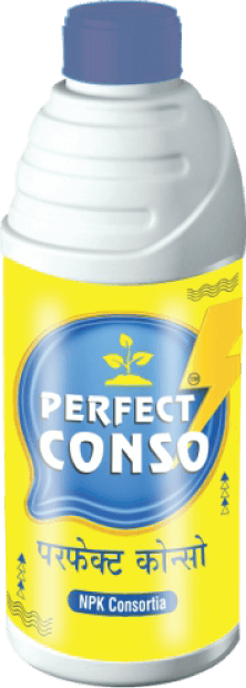 perfect_conso