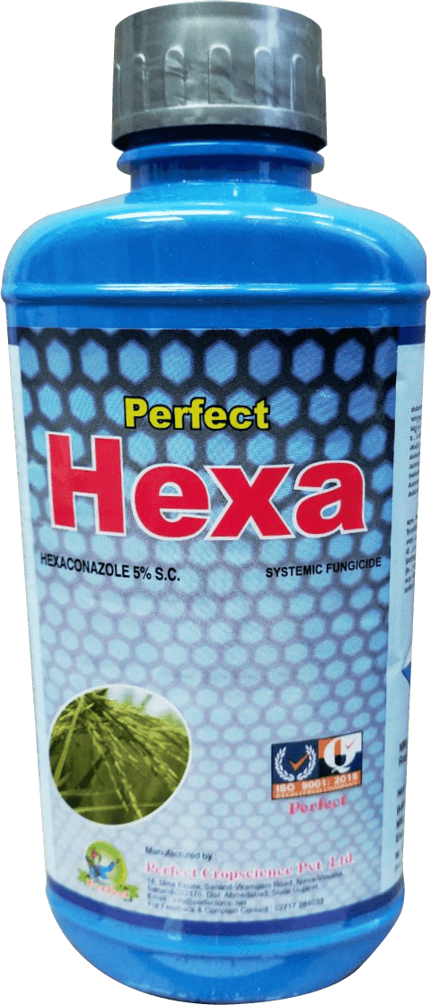 perfect_hexa