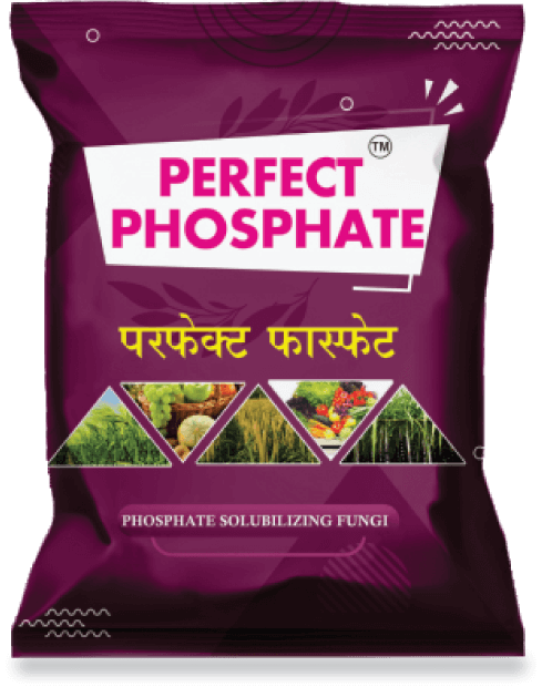 perfect_phosphate