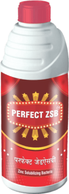 perfect_zsb
