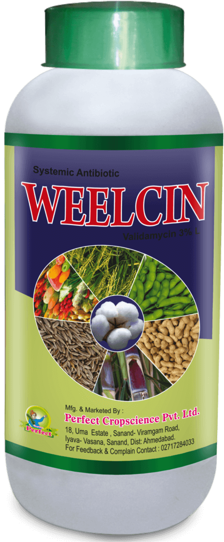 weelcin